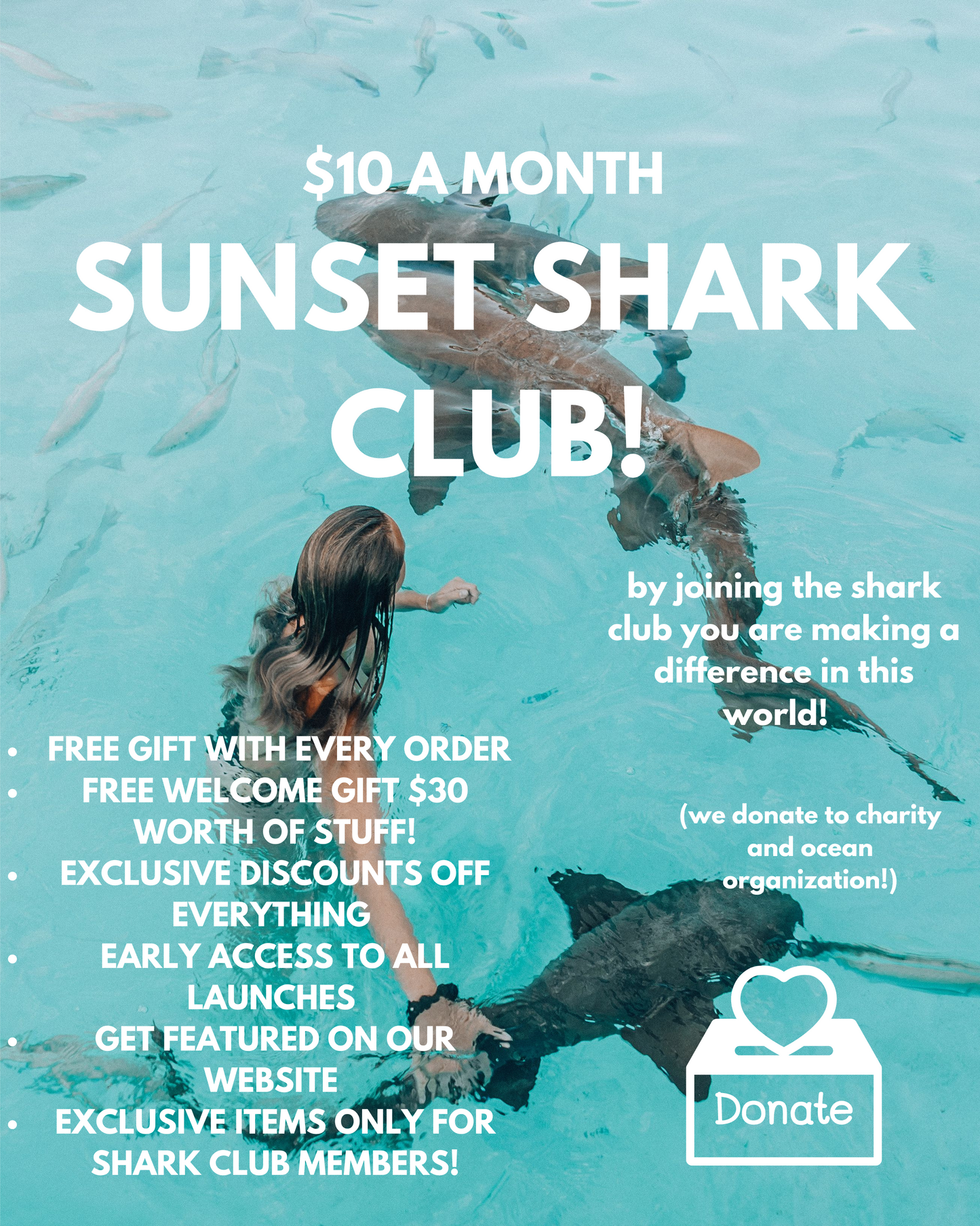 Sunset Surf Shark Club